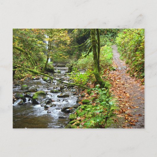 Carte Postale Un ruisseau Cool (Devant)