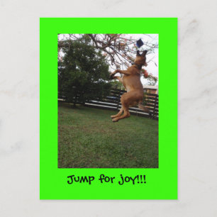 Carte Postale Un saut de joie ! !