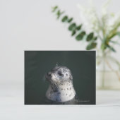 Carte Postale Un sceau portuaire (Debout devant)