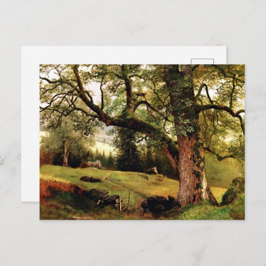 Carte Postale Un sentier à travers les arbres par Albert Biersta (Devant / Derrière)