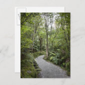 Carte Postale Un sentier à travers une forêt tropicale au pied d (Devant / Derrière)