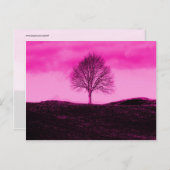 Carte Postale Un seul arbre Silhouette Paysage rose chaud (Devant / Derrière)