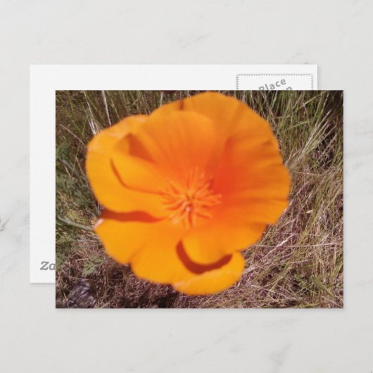 Carte Postale Un seul bloc (Devant / Derrière)