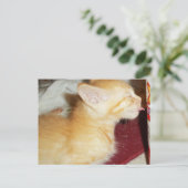 CARTE POSTALE UN SEUL PEU (Debout devant)