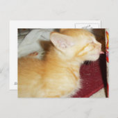 CARTE POSTALE UN SEUL PEU (Devant / Derrière)