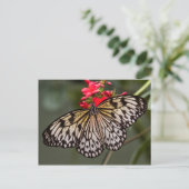 Carte Postale Un simple cerf-volant en papier (Debout devant)