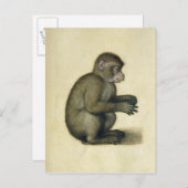 Carte Postale Un singe (Devant / Derrière)