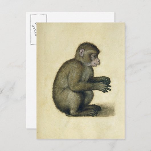 Carte Postale Un singe (Devant / Derrière)