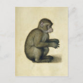 Carte Postale Un singe (Devant)