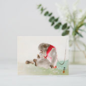 Carte Postale Un Singe Assis Observant Un Insecte (Debout devant)