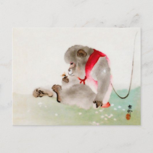 Carte Postale Un Singe Assis Observant Un Insecte (Devant)