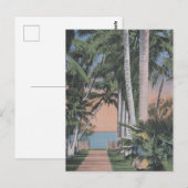 Carte Postale Un site floridien de rêve (Devant / Derrière)