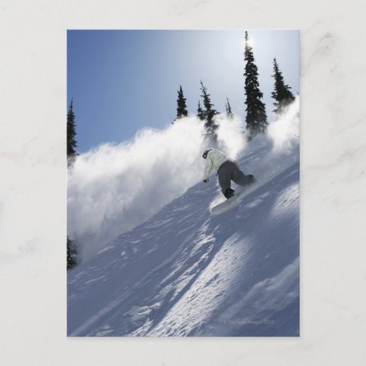 Carte Postale Un snowboardeur mâle déchire en poudre dans l'Idah (Devant)