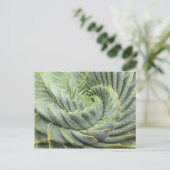 Carte Postale Un succès vert et blanc (Debout devant)