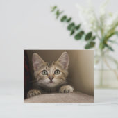 Carte Postale Un Tabby Kitten Très Sucré (Debout devant)