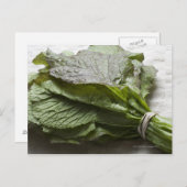 Carte Postale Un tas de verdure de moutarde fraîche, d'un fermie (Devant / Derrière)