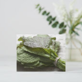 Carte Postale Un tas de verdure de moutarde fraîche, d'un fermie (Debout devant)