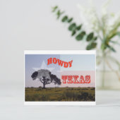 Carte Postale Un Texas Howdy ! (Debout devant)