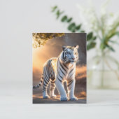 Carte Postale Un tigre blanc (Debout devant)
