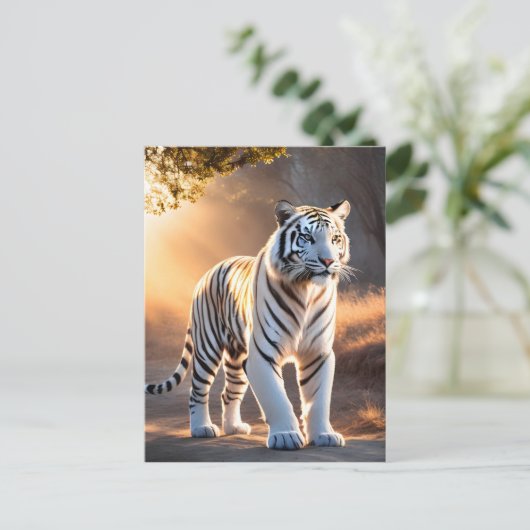 Carte Postale Un tigre blanc (Debout devant)