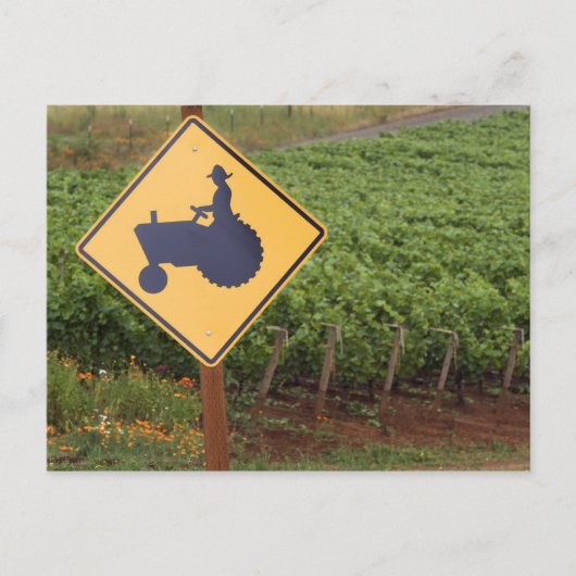 Carte Postale Un tracteur jaune qui traverse le vignoble (Devant)