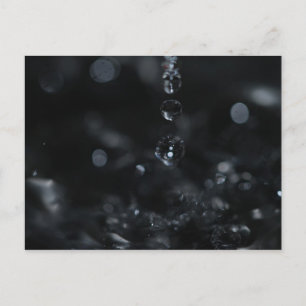 Carte Postale Un trio de gouttes d'eau