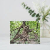 Carte Postale Un troll dans la forêt (Debout devant)