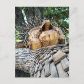 Carte Postale Un troll dort sous un arbre protégeant la nature (Devant)