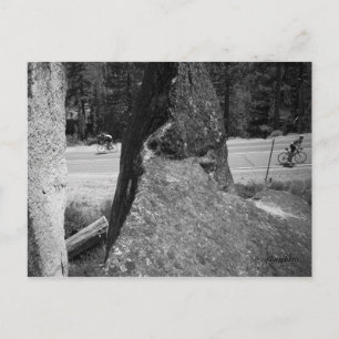 Carte Postale Un vers le haut d'un vers le bas