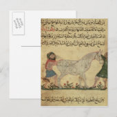 Carte Postale Un vétérinaire aidant un jument à accoucher (Devant / Derrière)