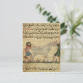 Carte Postale Un vétérinaire aidant un jument à accoucher (Debout devant)