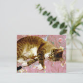 Carte Postale Un vrai chat, un faux chat (Debout devant)