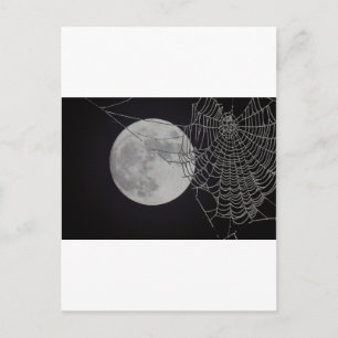 Carte Postale Un Web mondial