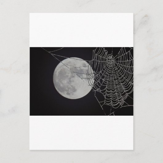 Carte Postale Un Web mondial (Devant)