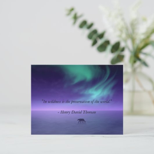 Carte Postale Under magic skies (Debout devant)