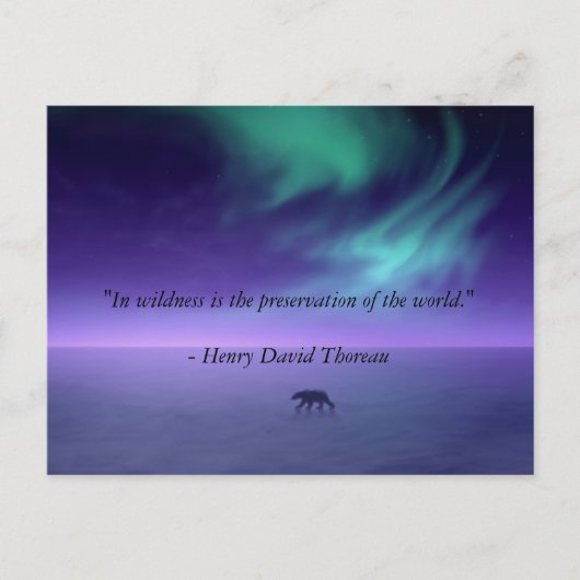 Carte Postale Under magic skies (Devant)