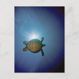 Carte Postale Underwater Turtle Andaman Sea, Thailand