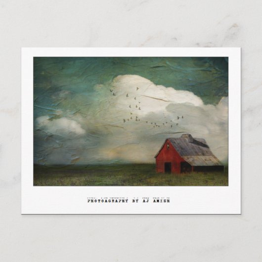 Carte Postale une autre bataille n'a jamais gagné. (Devant)