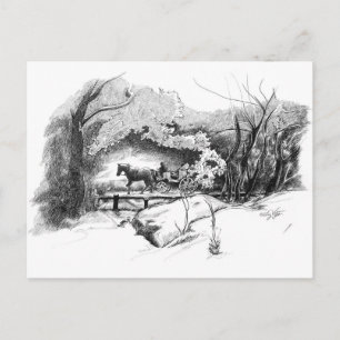 Carte postale : Une balade dans Central Park