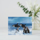 Carte Postale Une baleine d'un monde (Debout devant)