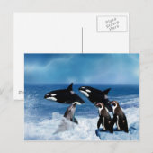 Carte Postale Une baleine d'un monde (Devant / Derrière)
