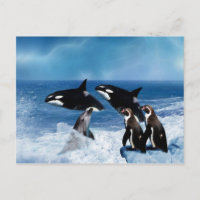 Une baleine d'un monde