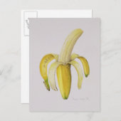 Carte Postale Une banane à moitié pelée 1997 (Devant / Derrière)