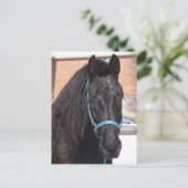 Carte Postale Une beauté noire (Debout devant)