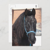 Carte Postale Une beauté noire (Devant / Derrière)