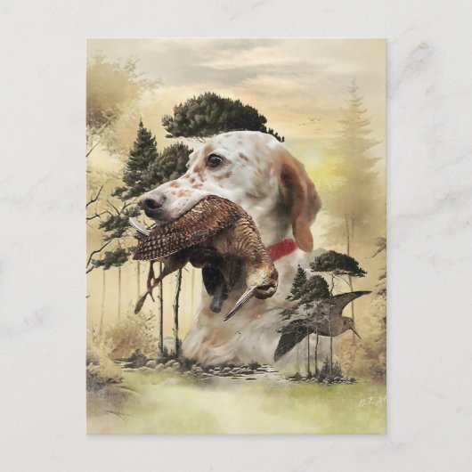 Carte Postale Une bécasse avec le setter anglais (Devant)