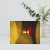 Carte Postale Une bougie brûlante (Debout devant)