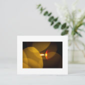Carte Postale Une bougie brûlante (Debout devant)