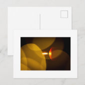 Carte Postale Une bougie brûlante (Devant / Derrière)