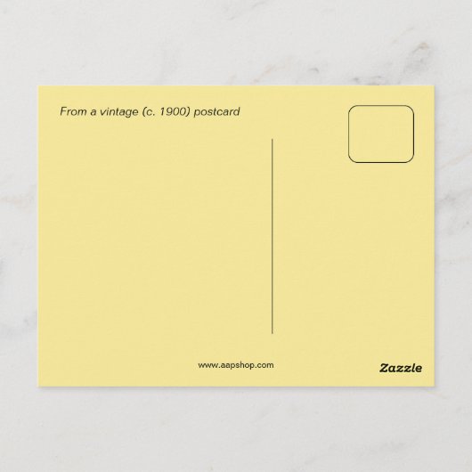 Carte Postale Une branche de Pamplemousse, Floride (Dos)